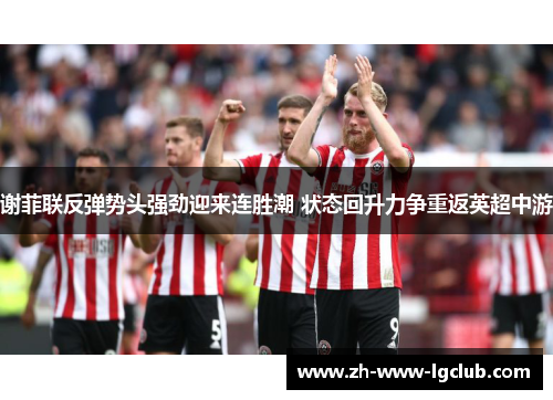 谢菲联反弹势头强劲迎来连胜潮 状态回升力争重返英超中游 谢菲联反弹势头强劲迎来连胜潮 状态回升力争重返英超中游