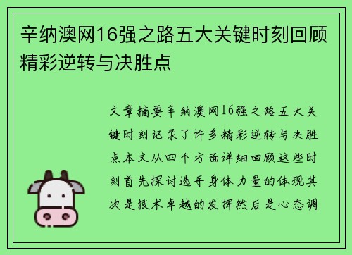 辛纳澳网16强之路五大关键时刻回顾精彩逆转与决胜点